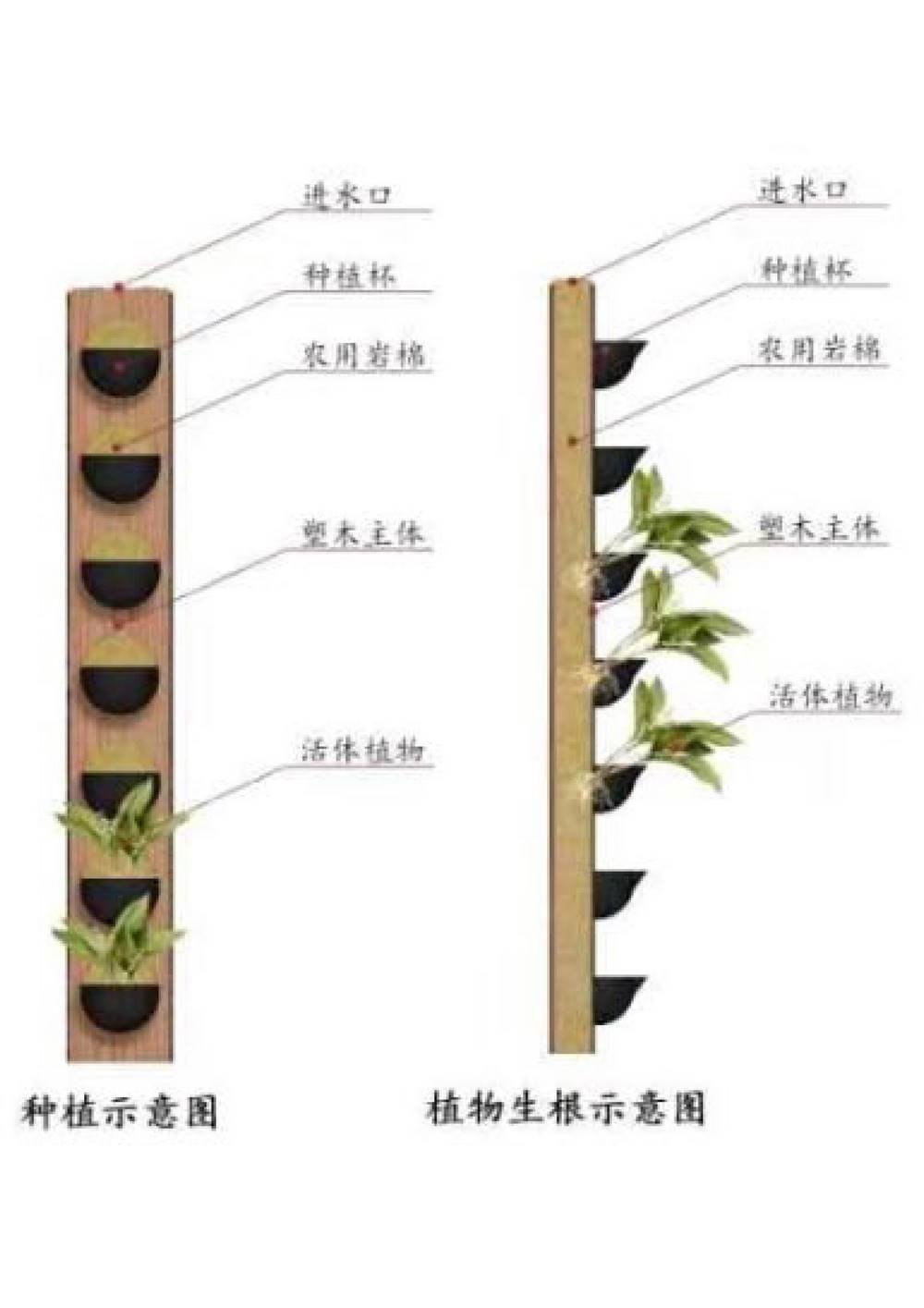 塑木通道式+岩棉植物墙容器先容1_2.jpg