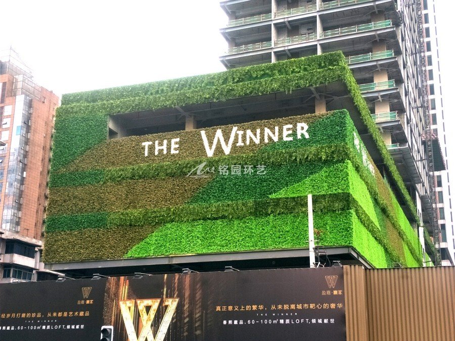 售楼部外墙植物墙