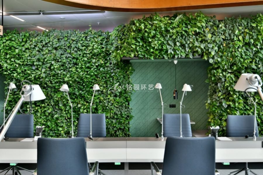 办公室洽谈室植物墙，绿萝笼罩的小隔间