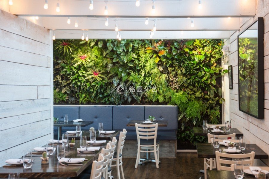 餐厅室内笔直绿化植物墙案例