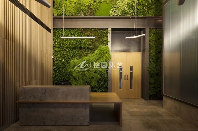 办公室前台笔直绿化植物墙景观