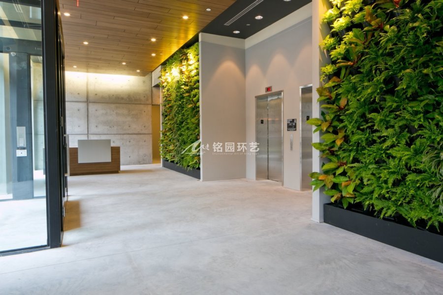 写字楼CBD大门入口通道植物墙室内笔直绿化