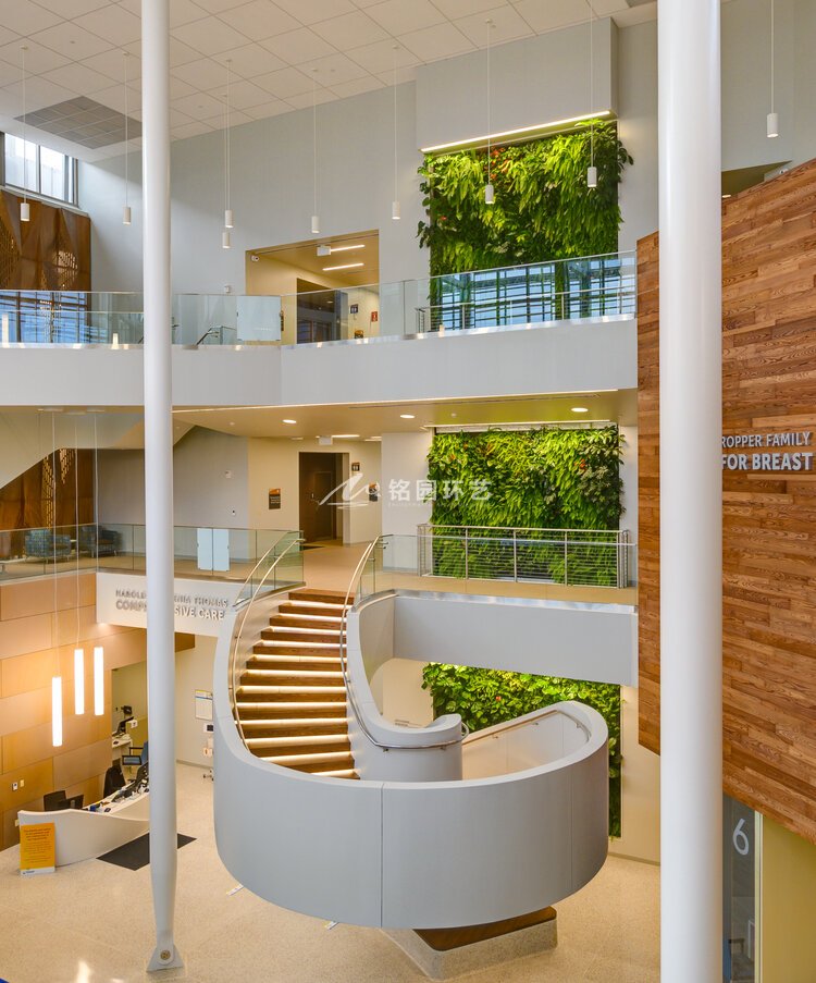 医院康复中央室内笔直植物墙案例