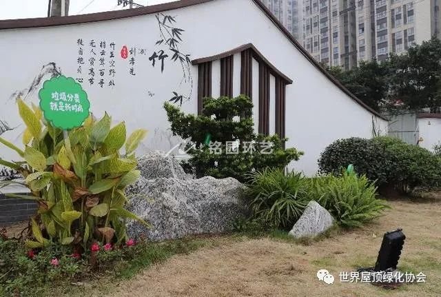 重庆立体绿化，让市政老修建旧貌焕新颜