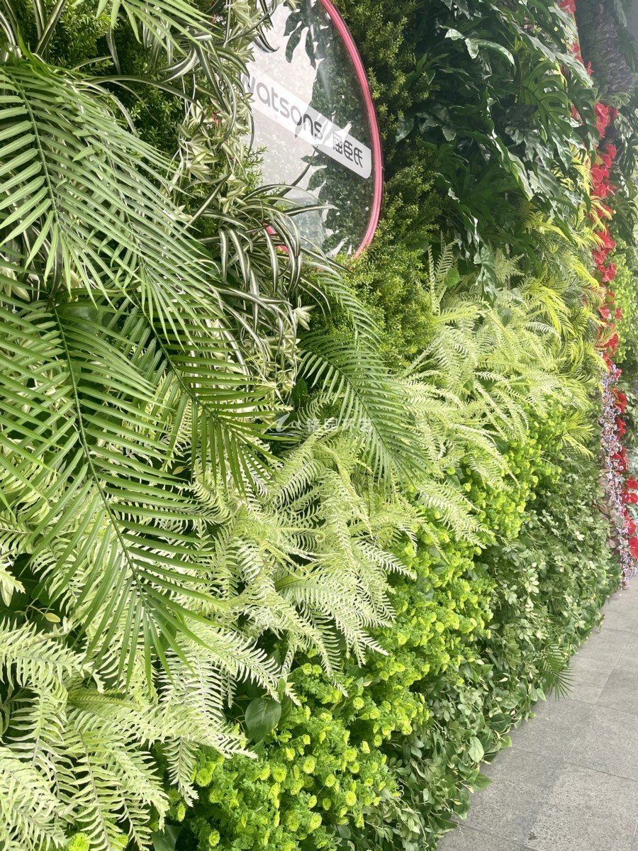 广场仿真植物墙