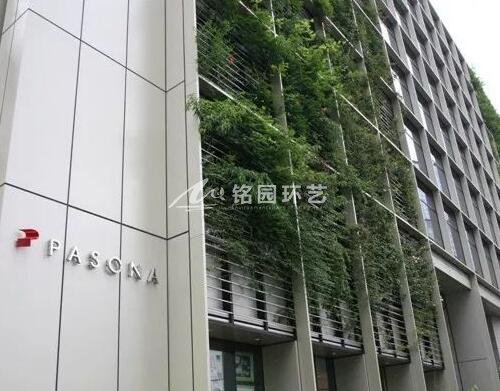 pasona group总部墙体绿化.jpg