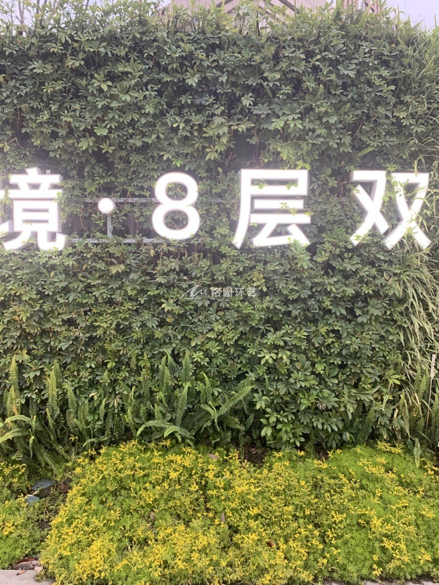 室外阻遏植物墙