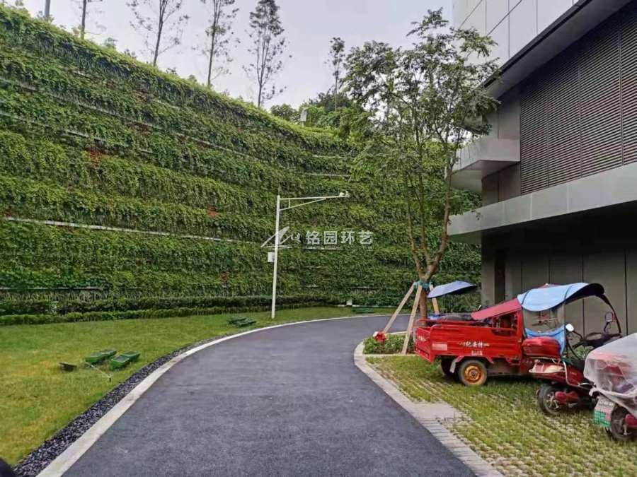 超算中央植物墙维护