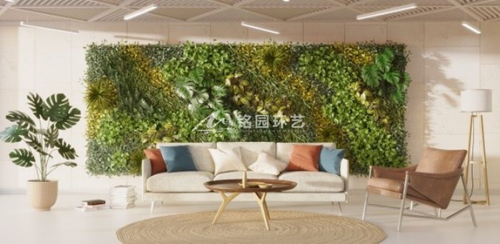 植物墙效果图